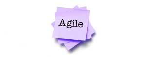 Agile VE