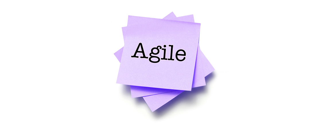 Agile VE